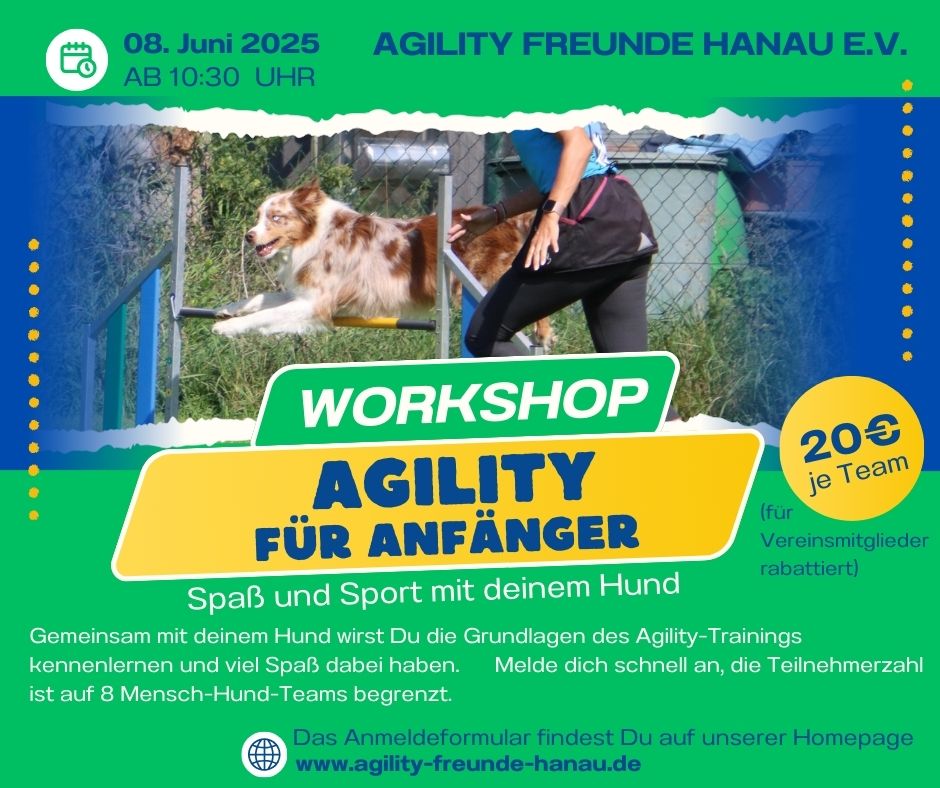 Workshop Agi Anfänger _Flyer