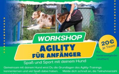 Agility-Workshop für Anfänger