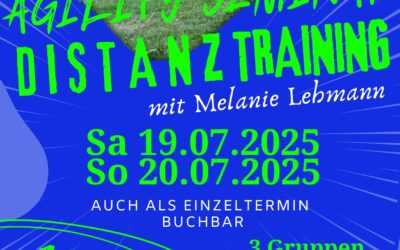 Agility-Seminar mit Melanie Lehmann