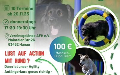 Agility-Anfängerkurs in der Wintersaison